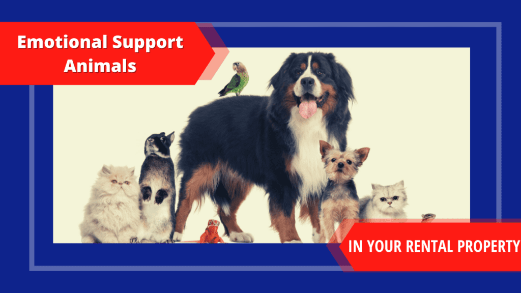 Emotional support animals blog thumbnail